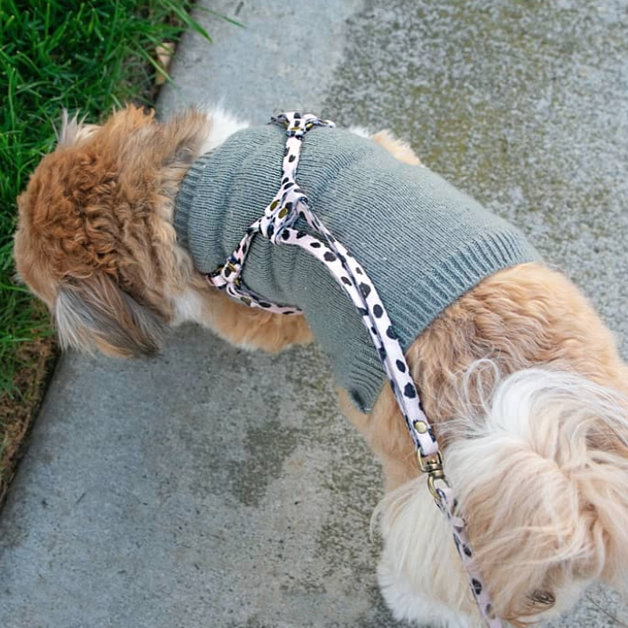 All-In-One Harness Leash - LEOPARD - Nous Wanderlust Stories