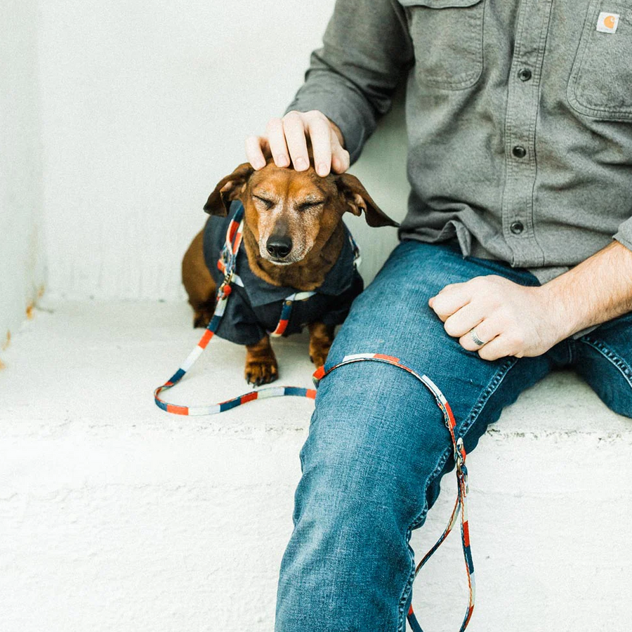 All-In-One Harness Leash - RETRO - Nous Wanderlust Stories