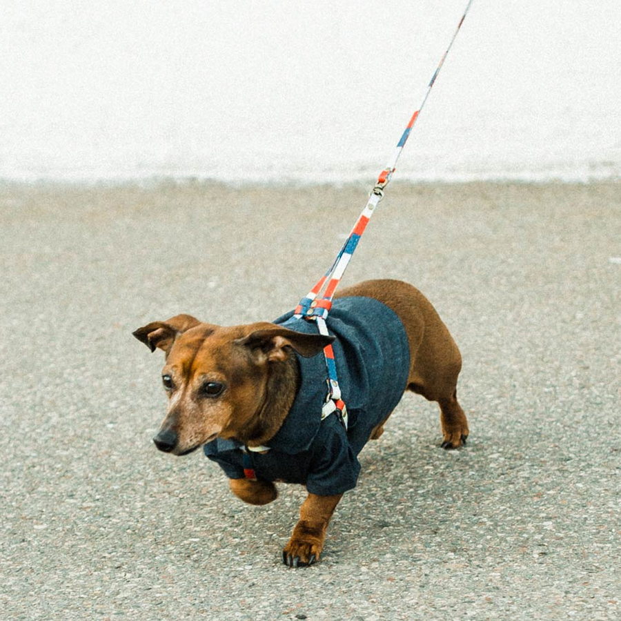 All-In-One Harness Leash - RETRO - Nous Wanderlust Stories