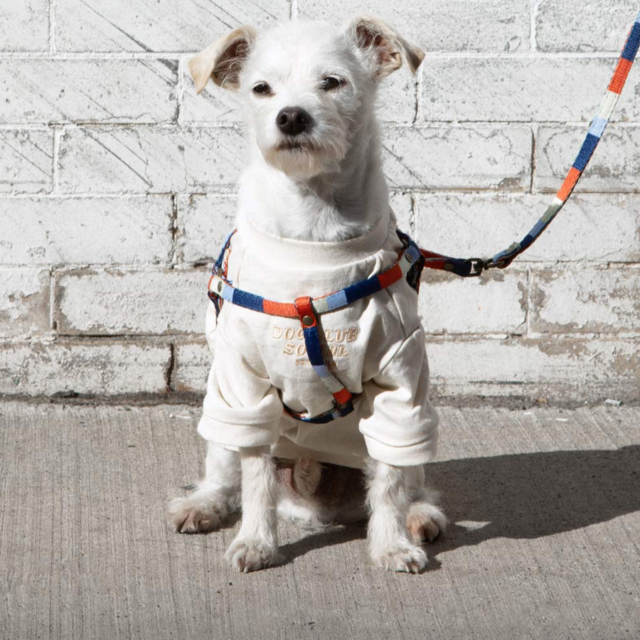 All-In-One Harness Leash - RETRO - Nous Wanderlust Stories