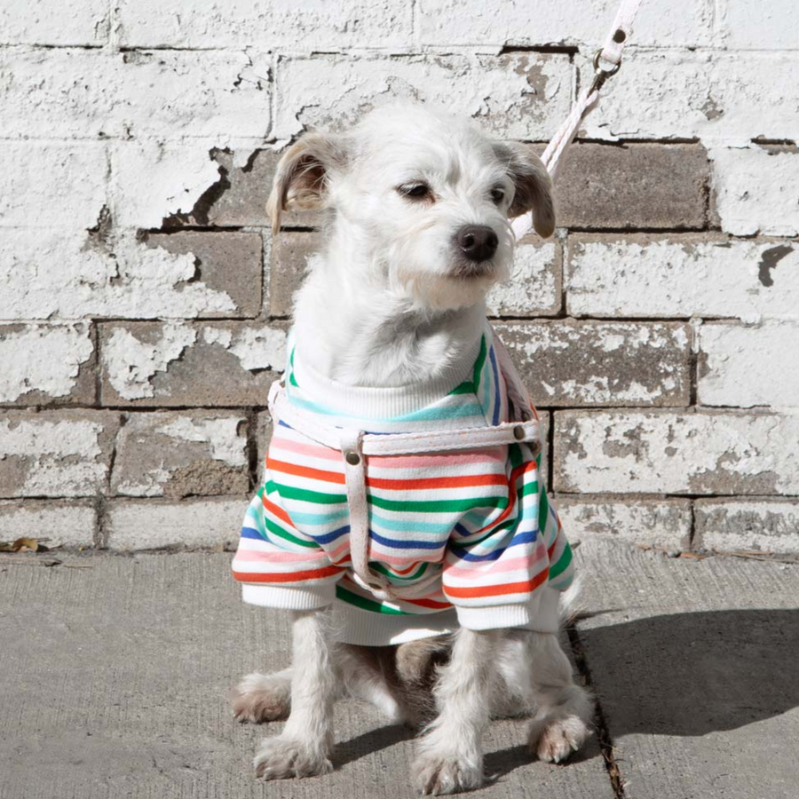 All-In-One Harness Leash - CONFETTI - Nous Wanderlust Stories