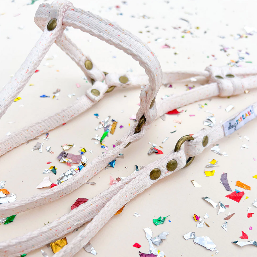All-In-One Harness Leash - CONFETTI - Nous Wanderlust Stories