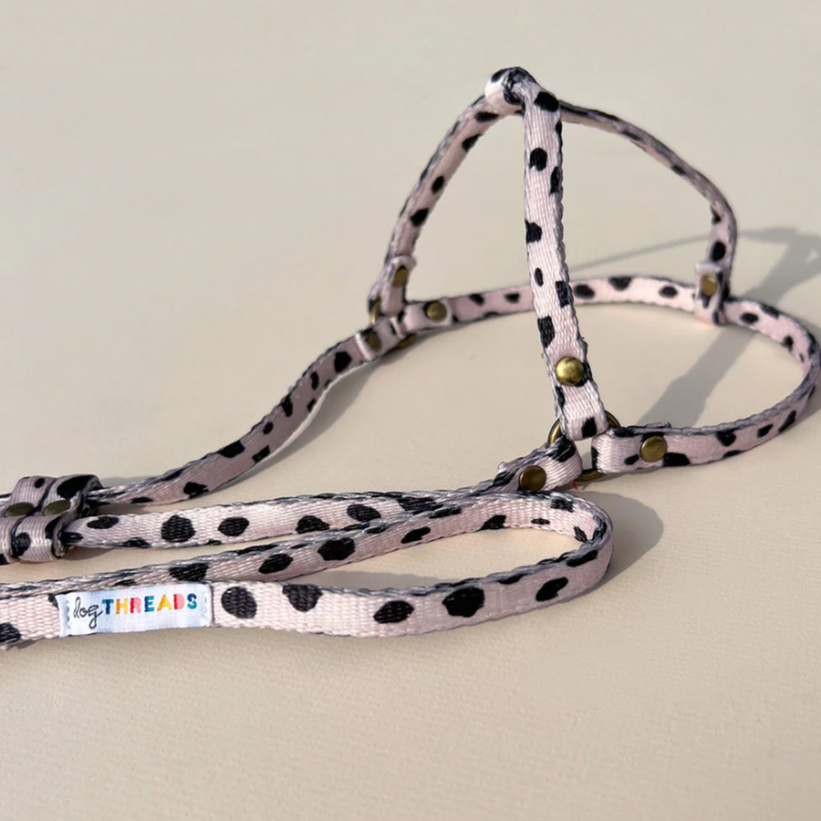 All-In-One Harness Leash - LEOPARD - Nous Wanderlust Stories