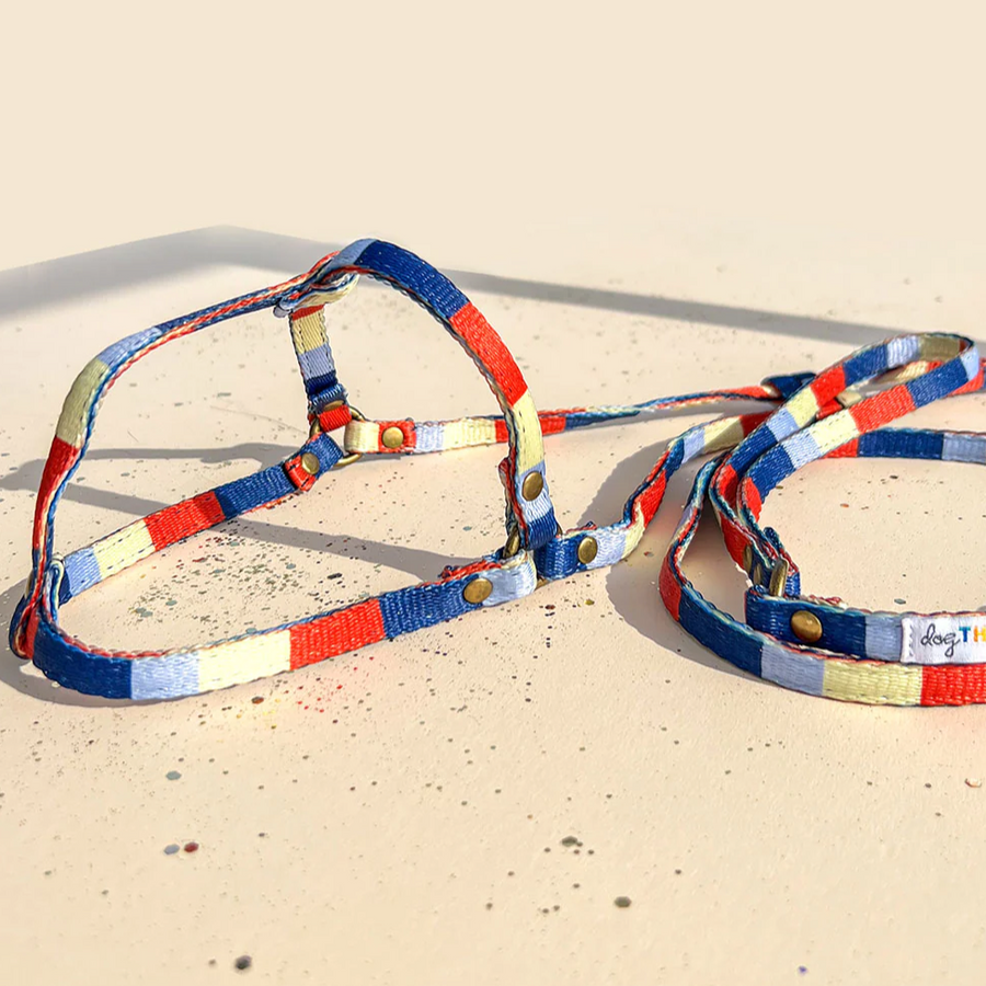 All-In-One Harness Leash - RETRO - Nous Wanderlust Stories