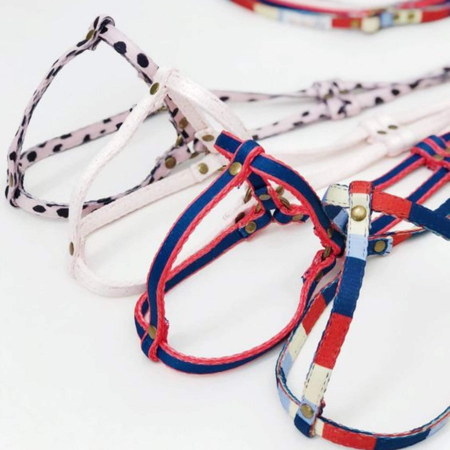 All-In-One Harness Leash - CONFETTI - Nous Wanderlust Stories
